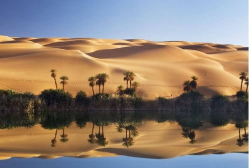 沙漠绿洲揭开神秘面纱，带你领略绝美风光！