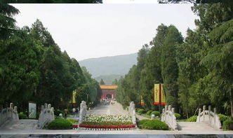 南京明孝陵景区：历史的回音与自然的和谐