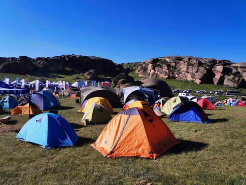 新疆十大露营地，让你体验别样的自然之美！