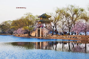 北京颐和园历史回顾，历史的瑰宝，皇家园林的典范