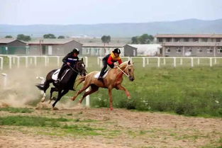 内蒙古草原骑马体验：驰骋在无尽绿野的豪情与浪漫