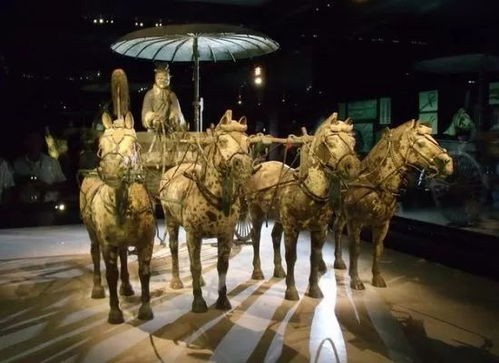 西安兵马俑博物馆探秘，博物馆：历史的神秘印记