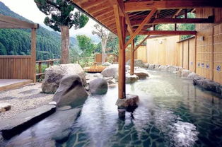 日本乡村温泉之旅：历史的温泉文化与大自然的完美融合