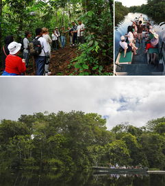 神奇的探险之旅，亚马逊雨林