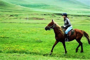 内蒙古 骑马